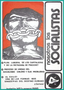 Nosotros los Socialistas